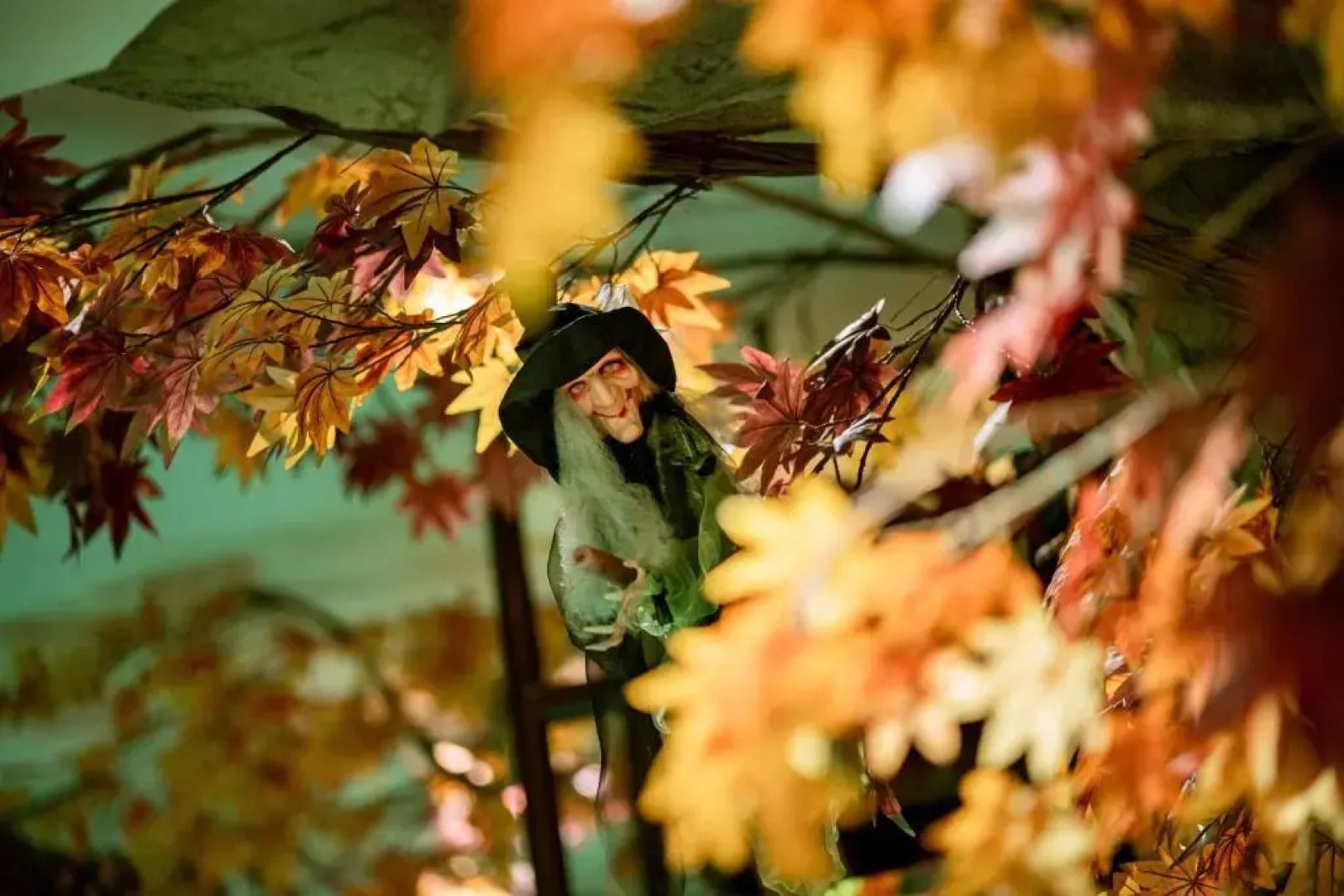 Hotel Restaurant Hexenalm