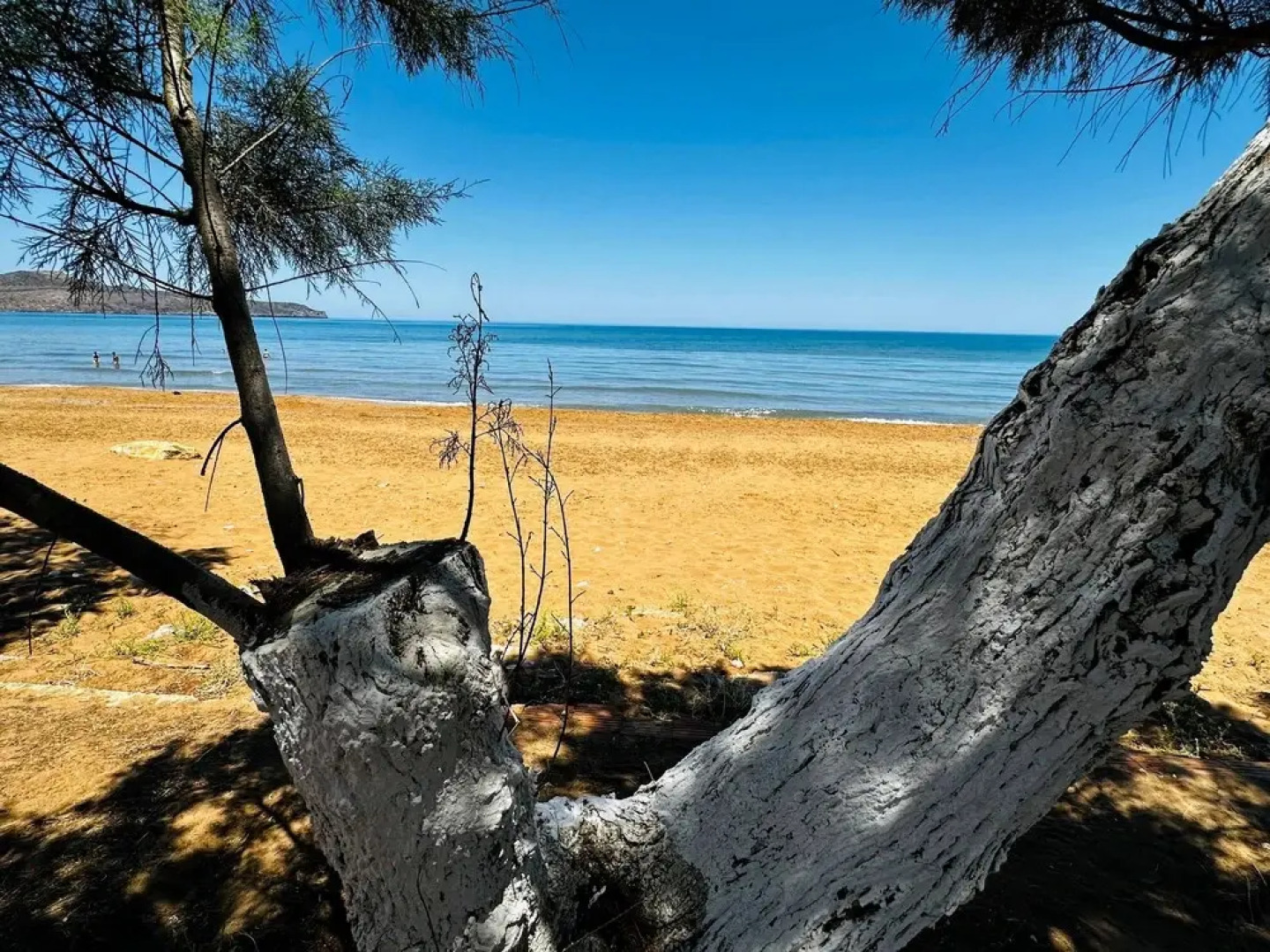 Lifeguard Beachfront - Luxury Flat, 30meters From Sea