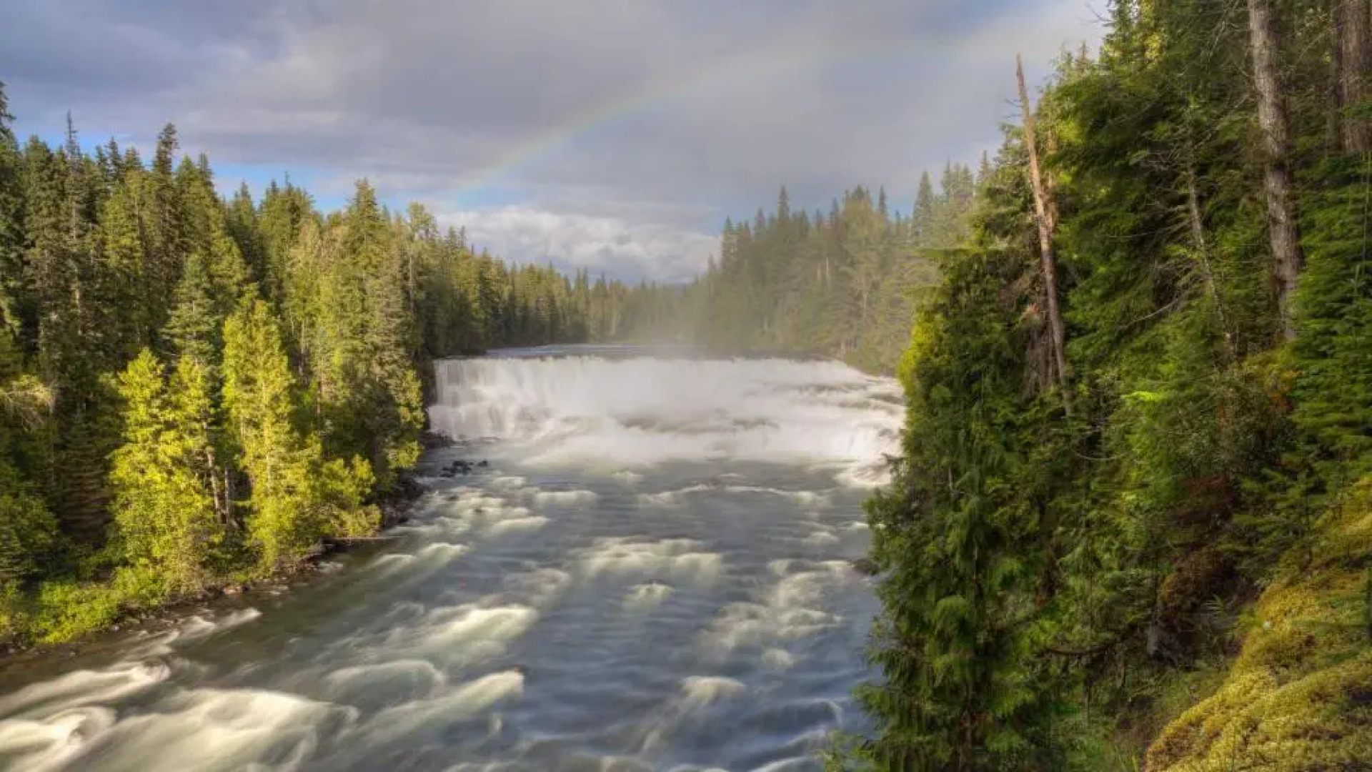 Hummingbird Bed and Breakfast