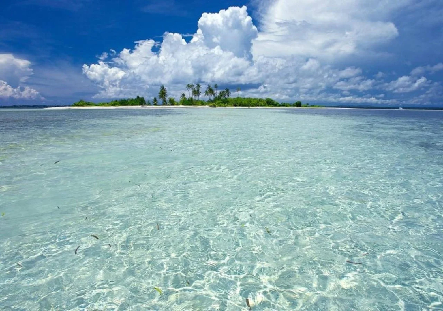 Alona Hidden Dream Resort by SMS Hospitality