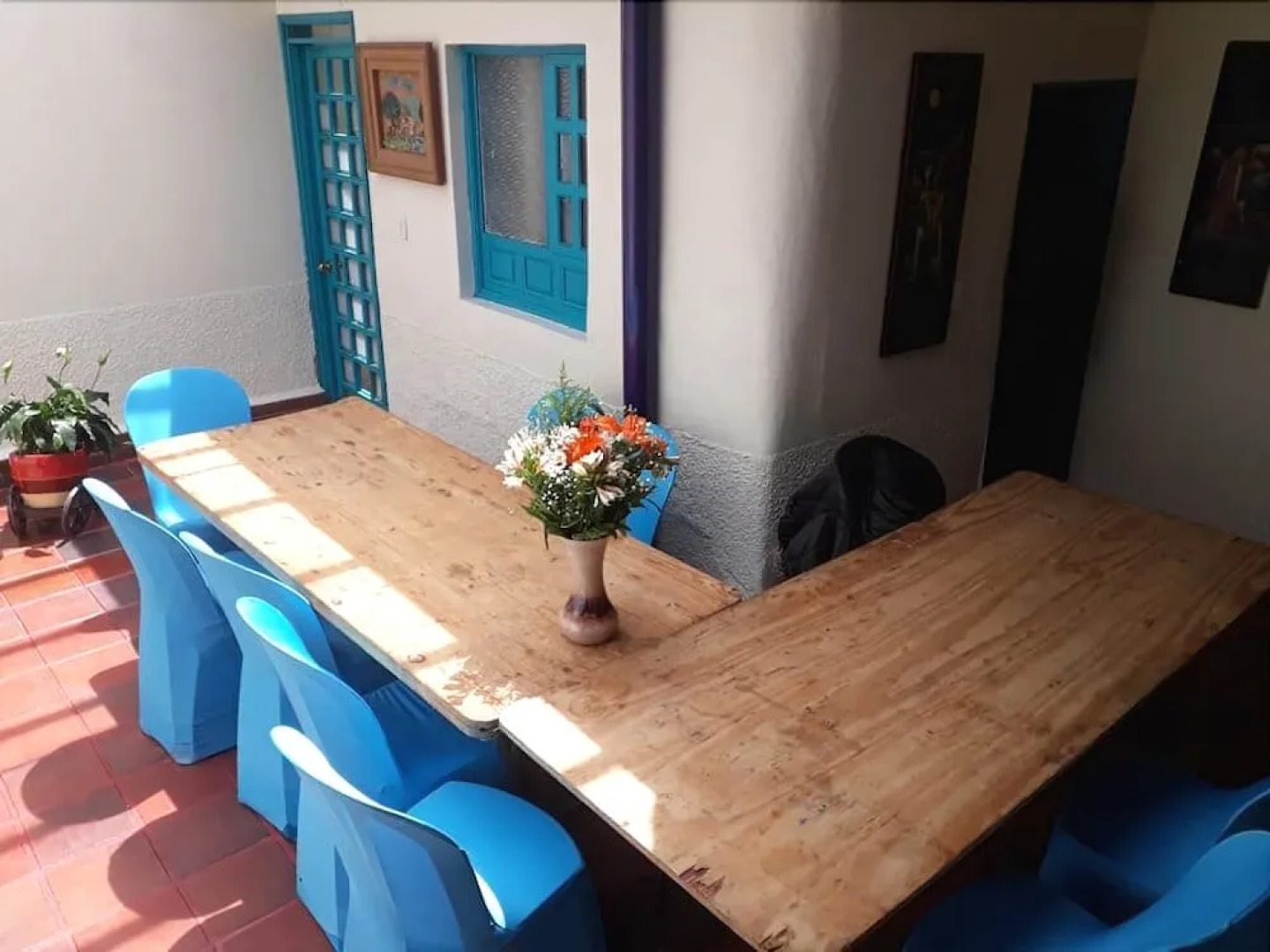 Hostel Casa del Arbol