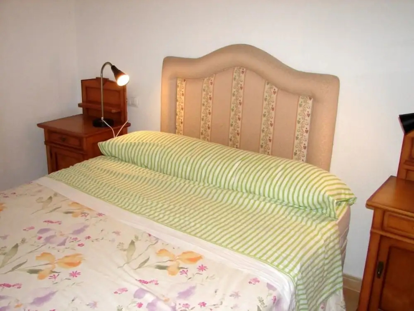 Livingtarifa - Tortugas