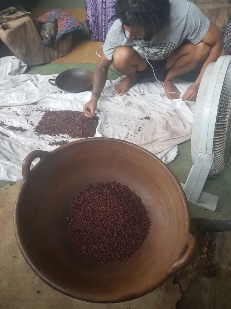 Beta Life Eco Proyecto Hostel