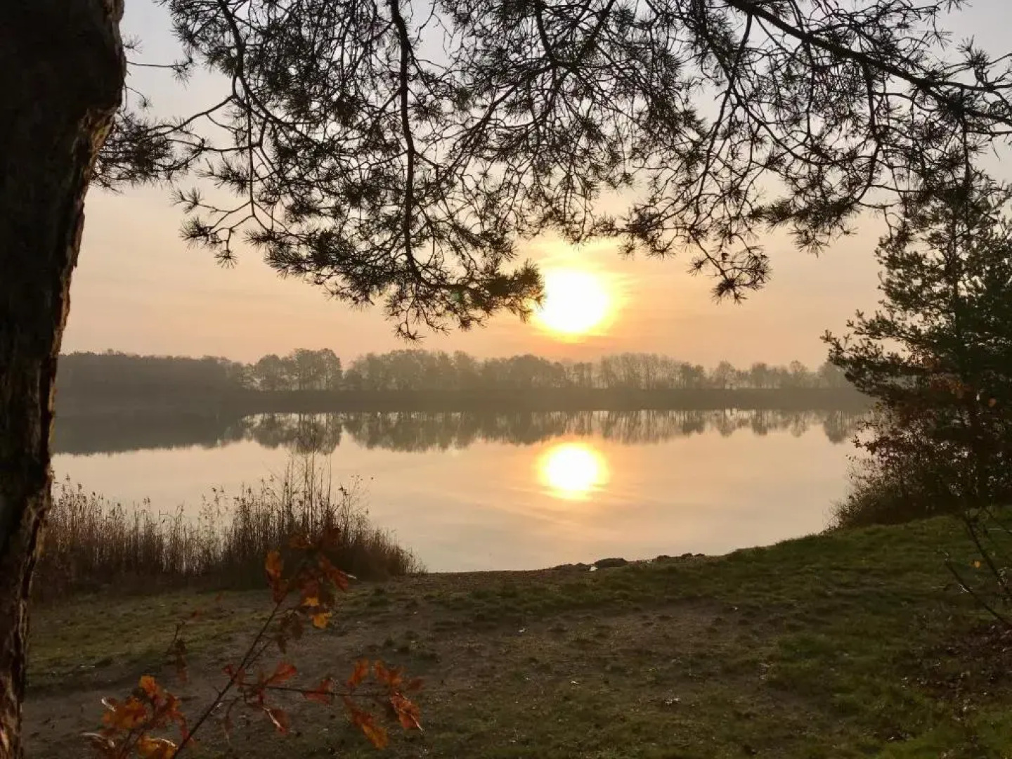 Zum-bothmerschen-Krug