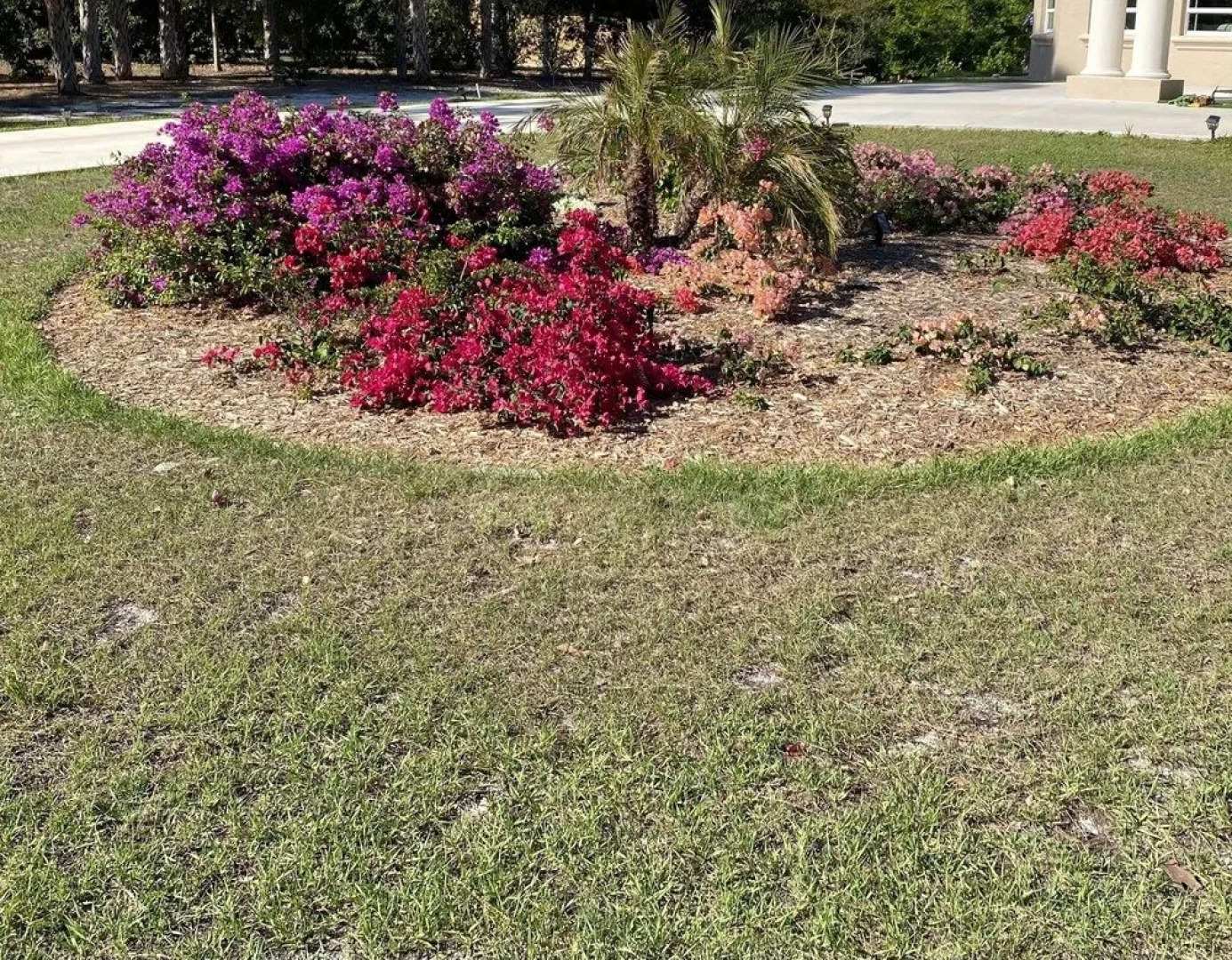 Suite Dreams Guesthouse aka Care Takeover Home