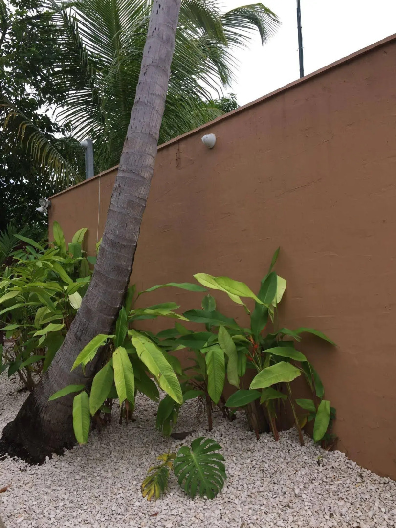 Tres Palmas Inn & Villas