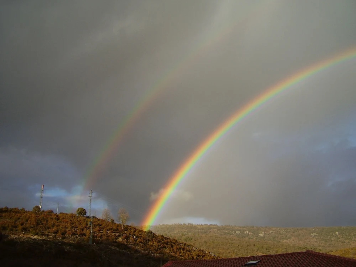 Boyal del Alto Tajo - La Navina