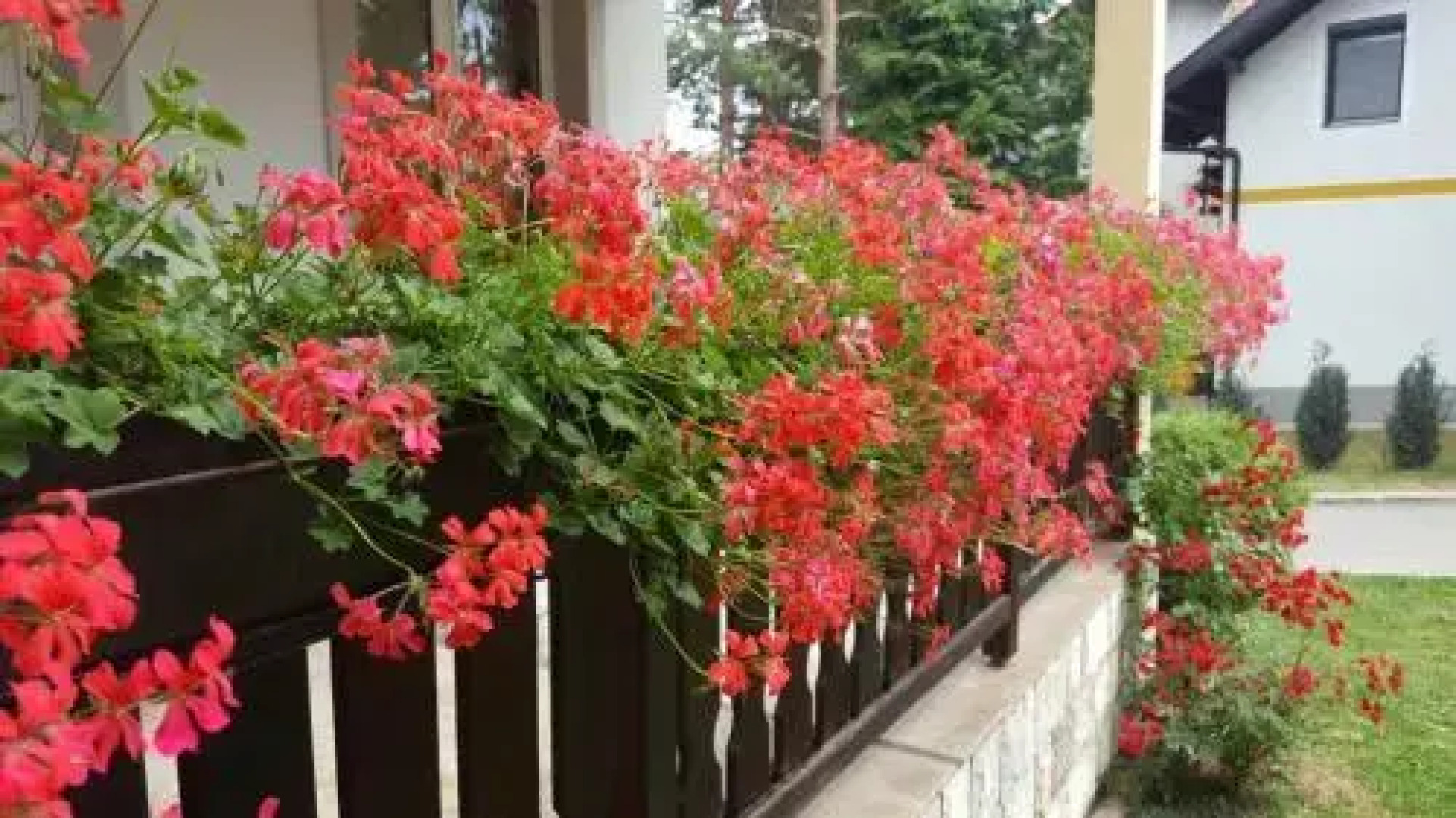 Guest house Vila Žunić