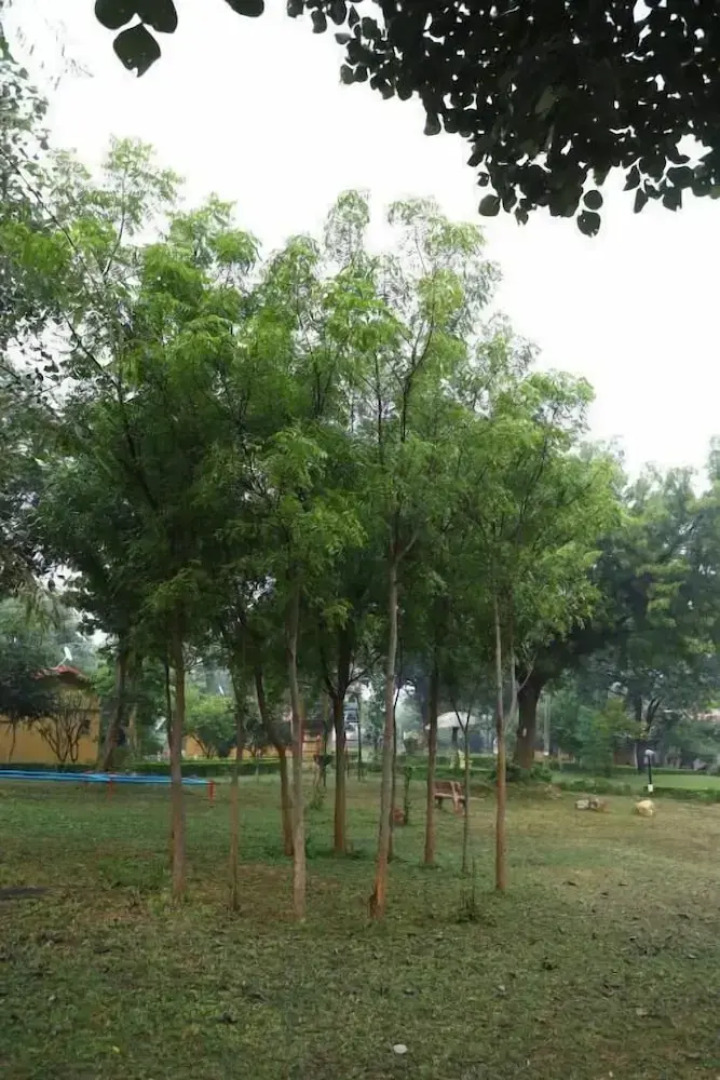 Tourist village Khajuraho