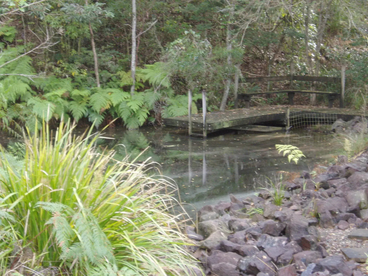 Montville Oceanview Cottages