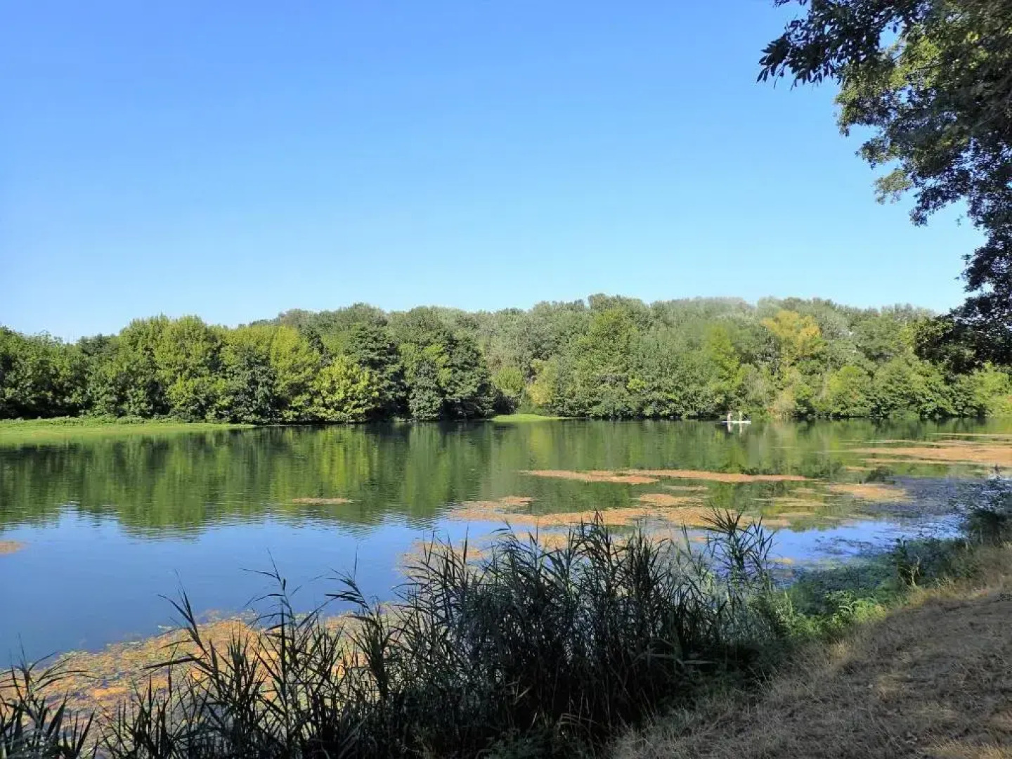 Le Petit Balcon Beaucaire