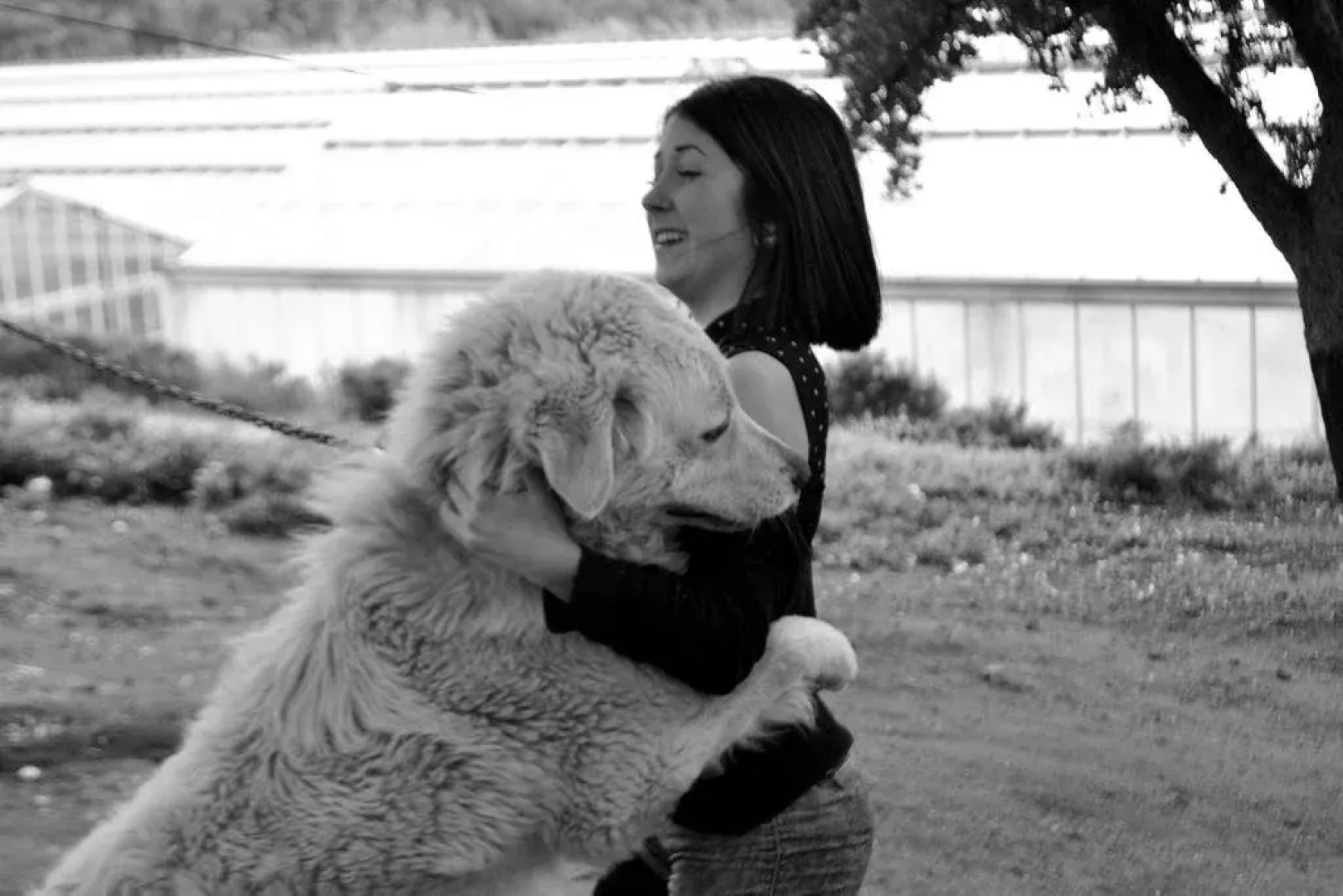 Alba Chiara Agriturismo