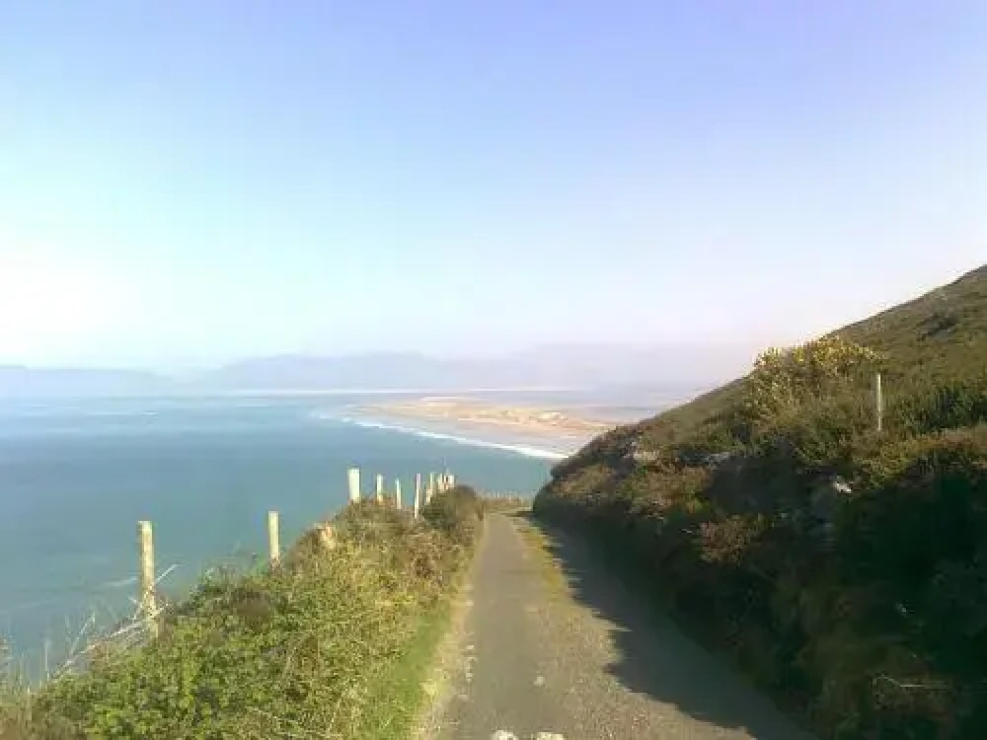 The Sleepy Camel Hostel