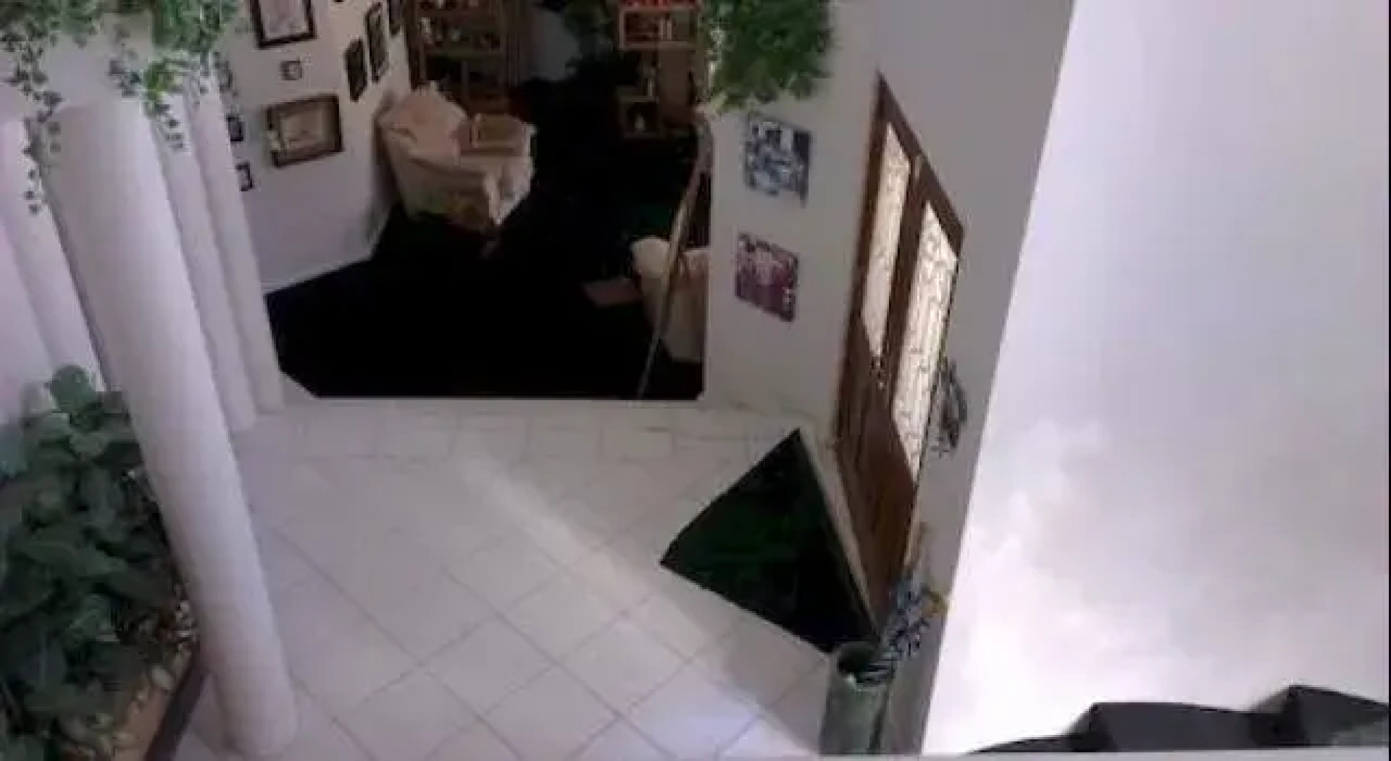 The Vines Avenue Guesthouse