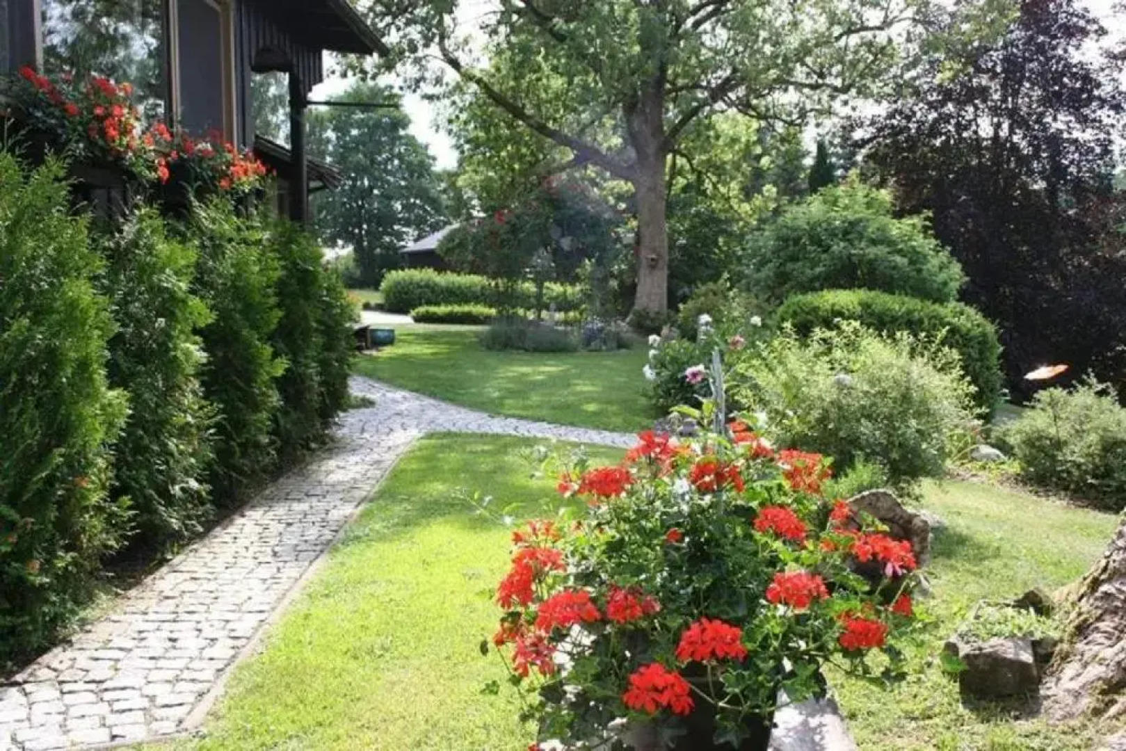 Apartment am Buchenhain