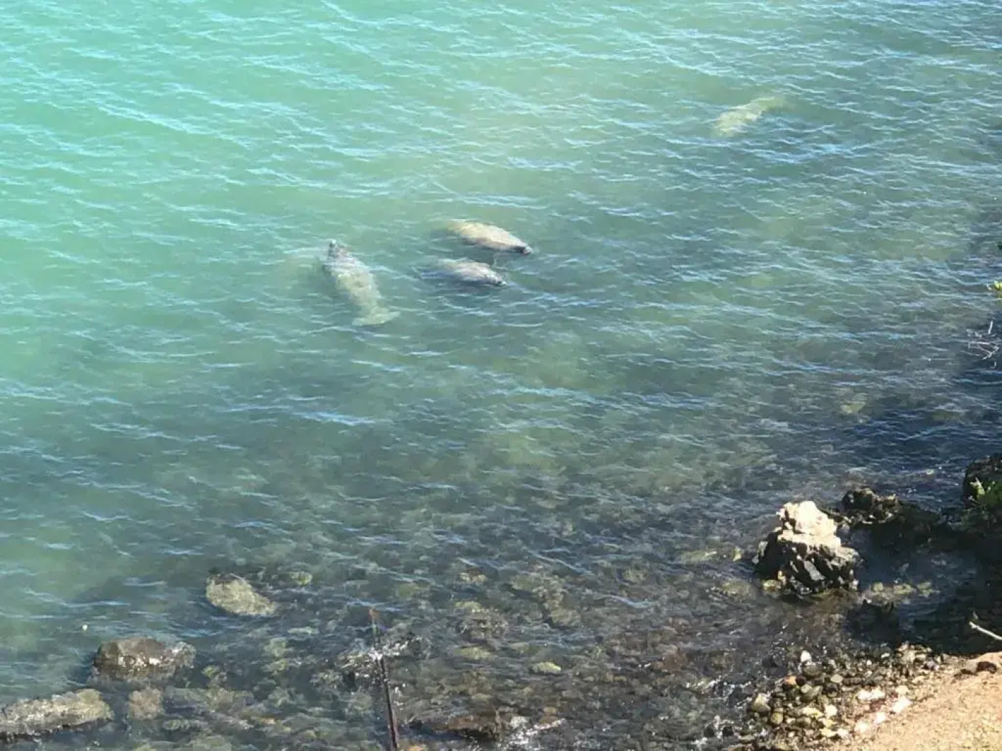 Waterfront studio at Fajardo, Puerto Rico