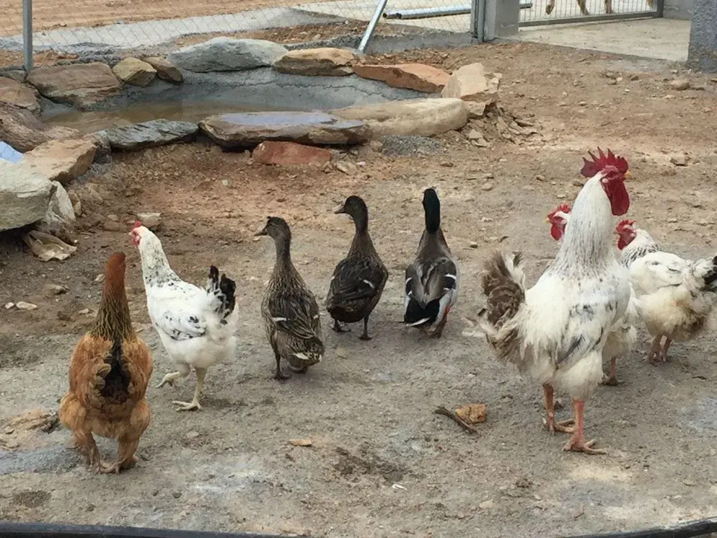 Reul Alto Cortijos Rurales