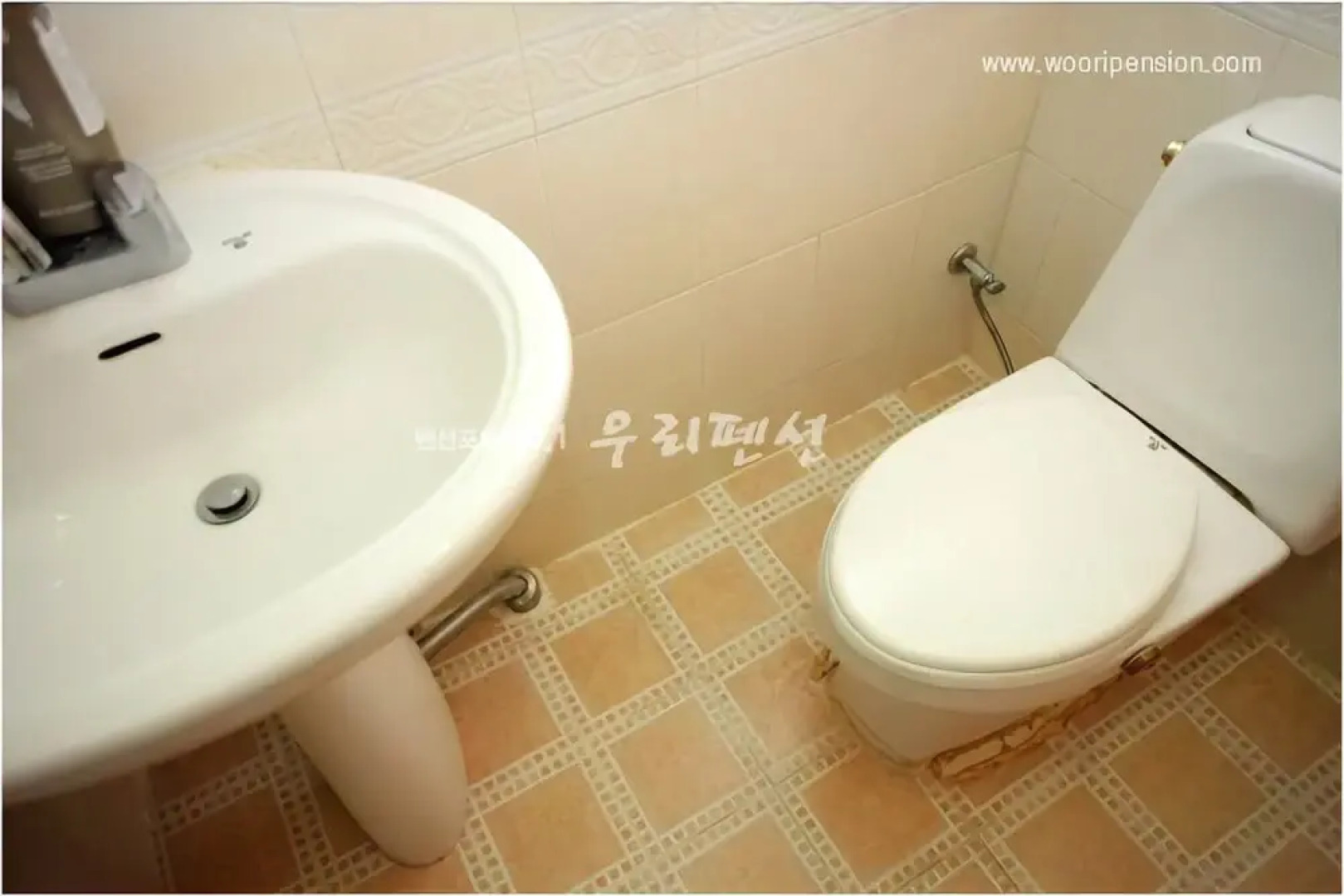 Hongcheon Sinyeong Pension