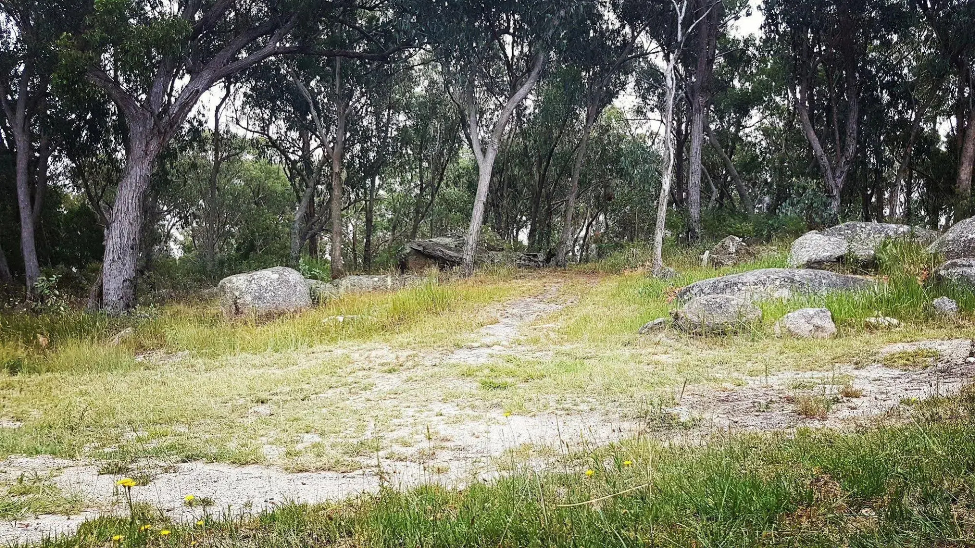 Girraween Country Inn