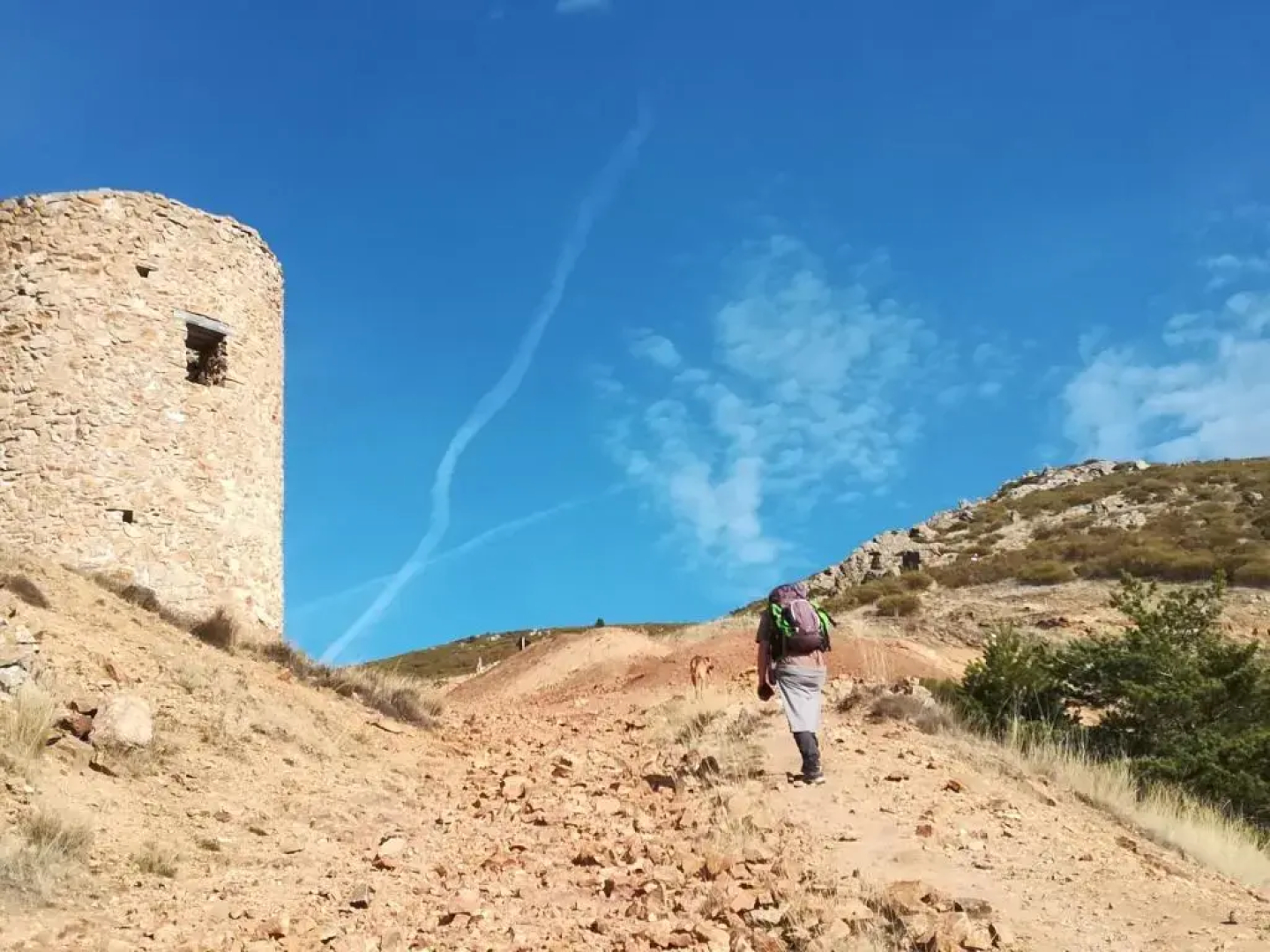 Casa de huéspedes B&B Villa de las Hortensias