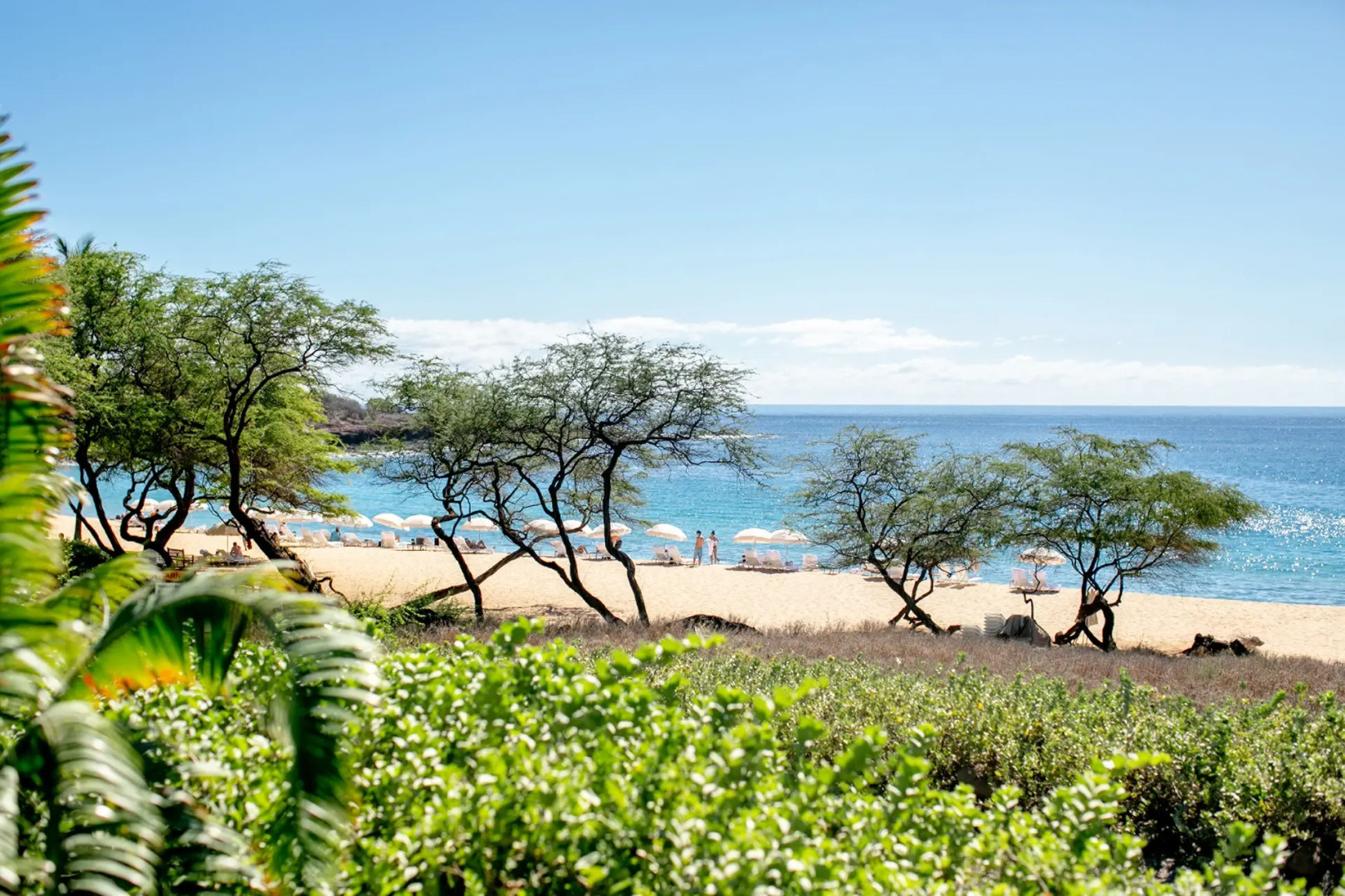 Four Seasons Resort Lanai