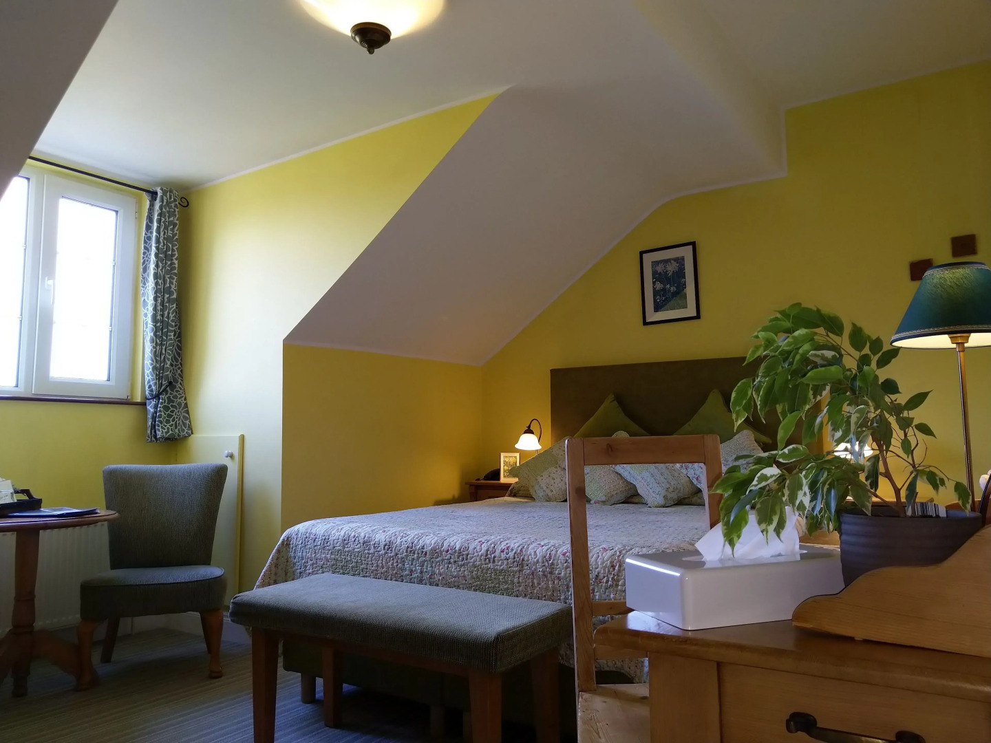 Drumcreehy Country House B&B