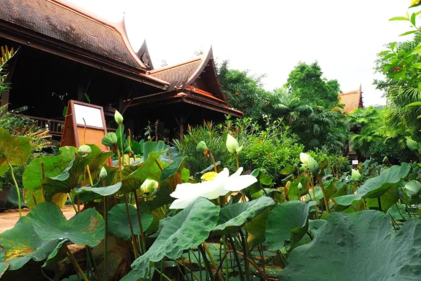 Khaolak Bhandari Resort & Spa