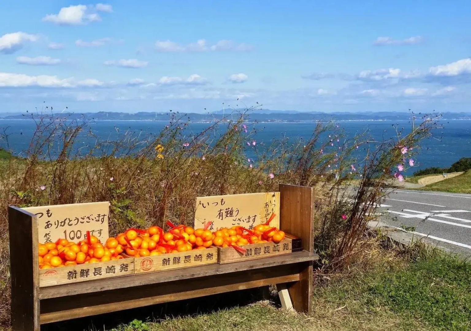 Whole house rental Igusa - Hostel