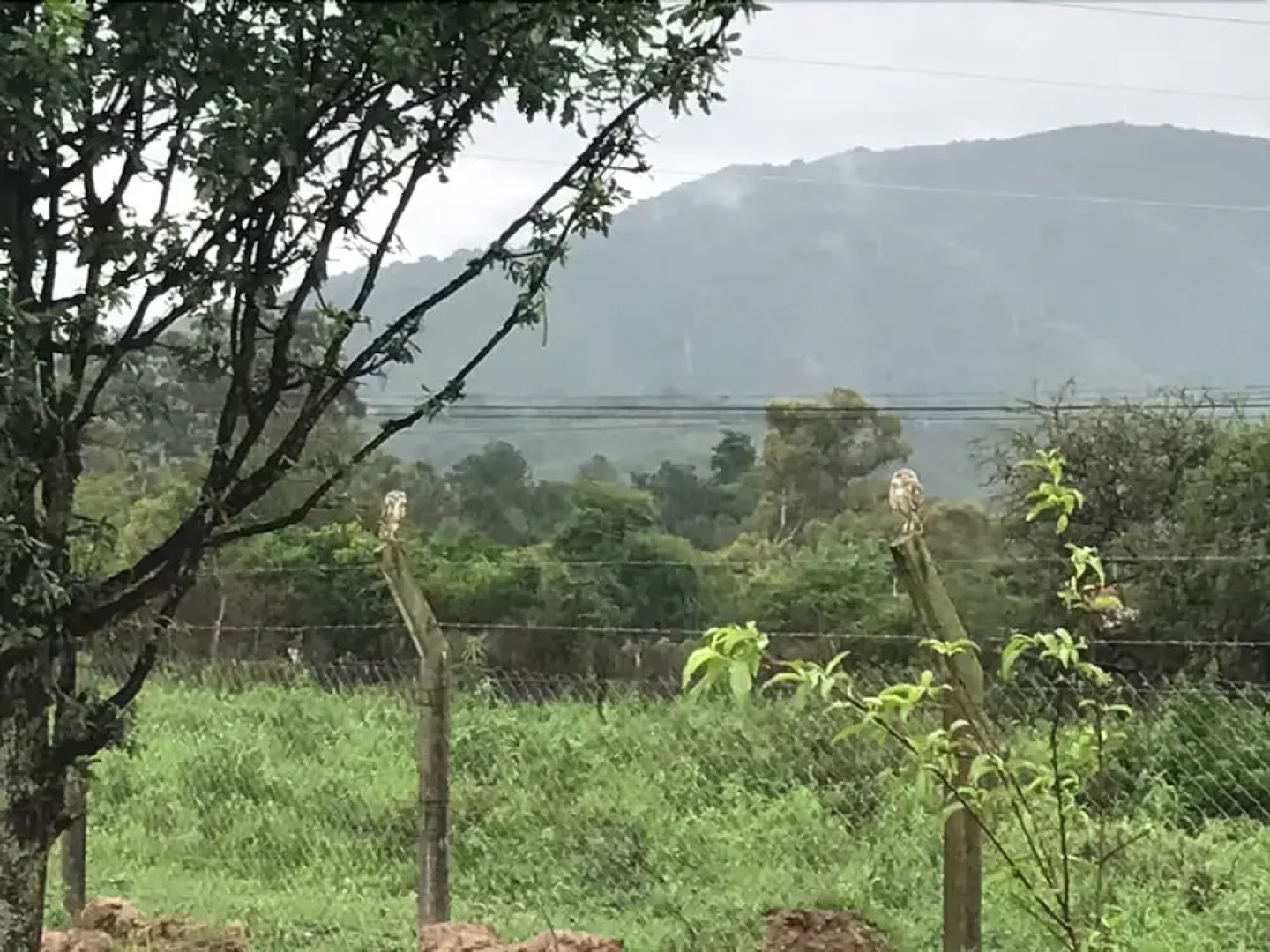 Las Lomitas - Casa de Campo