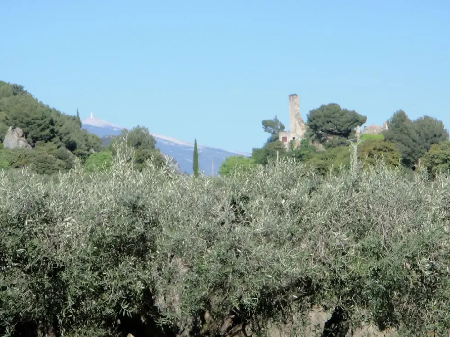 Nice House With Garden, Private Pool, Summer Kitchen and View of Mont Ventoux