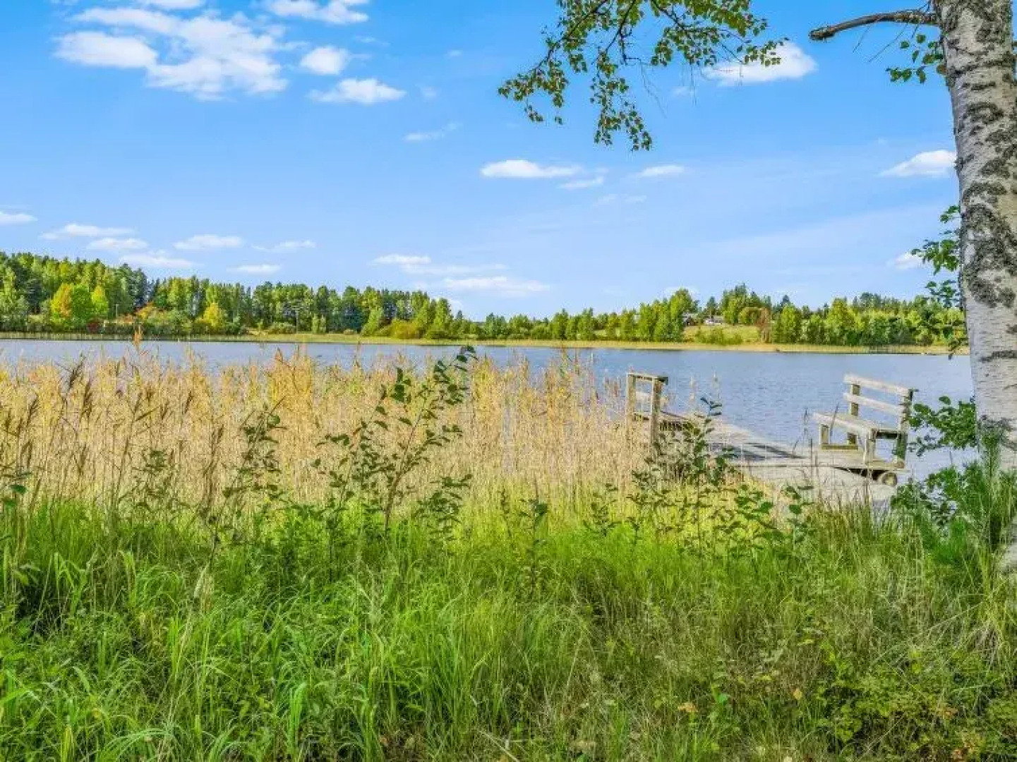 Holiday Home Kinturi