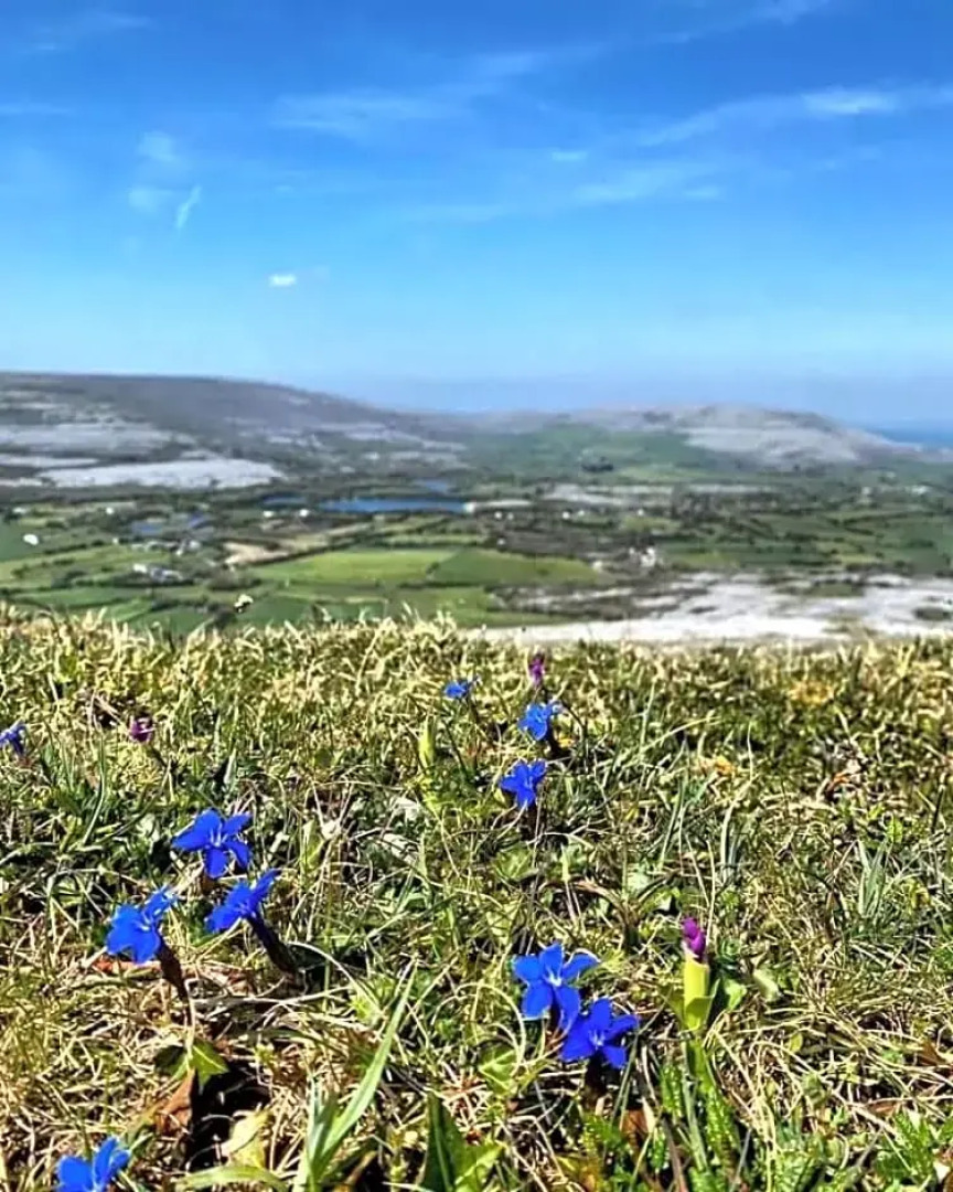 Burren Rock Farmhouse B&B