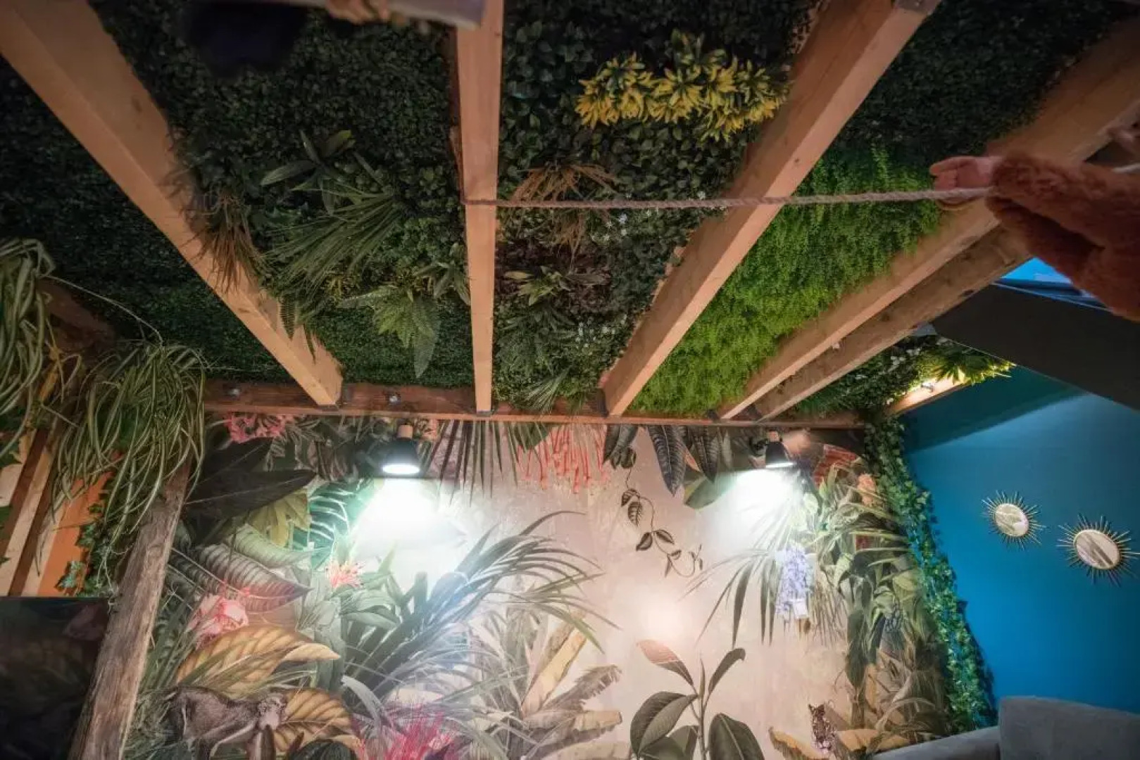 Jungle Room Evadez Vous Cosy Luxe Gare Autoroute