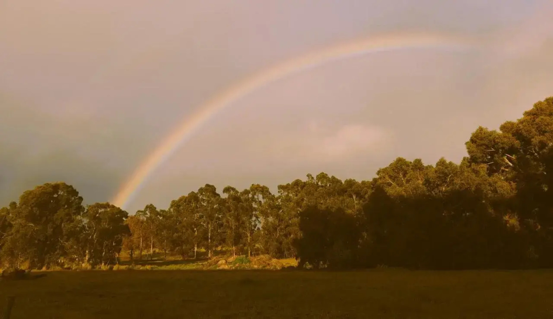 Silversprings cottages
