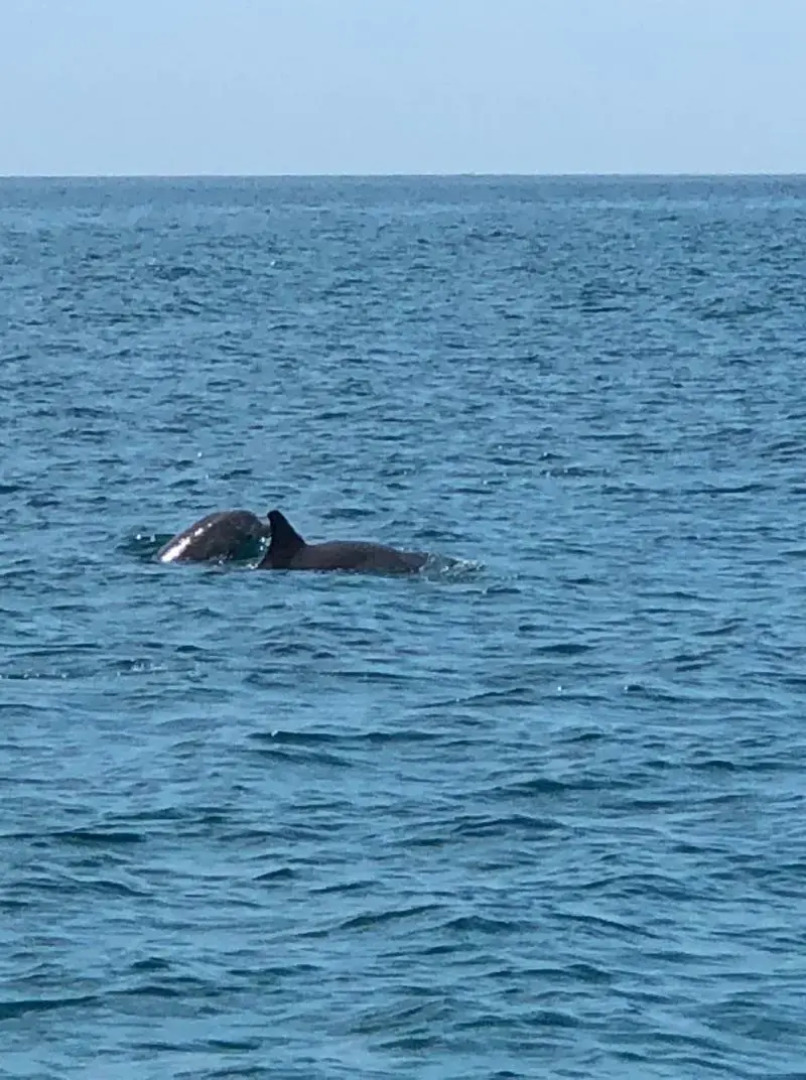 Jupiter Waterfront Inn