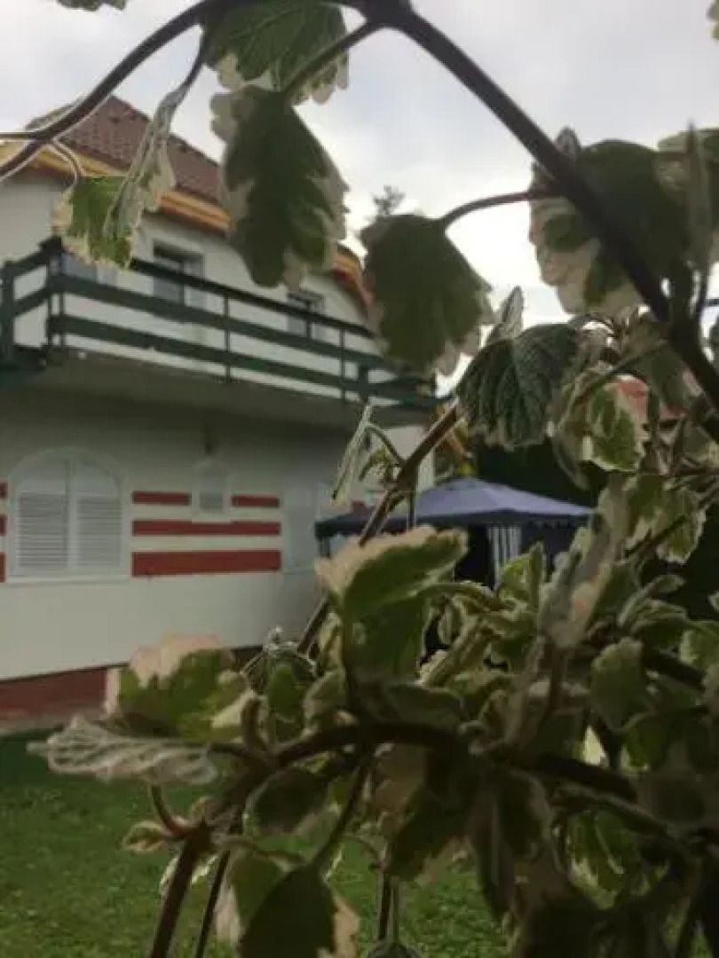 Bella Badacsony Vendégház