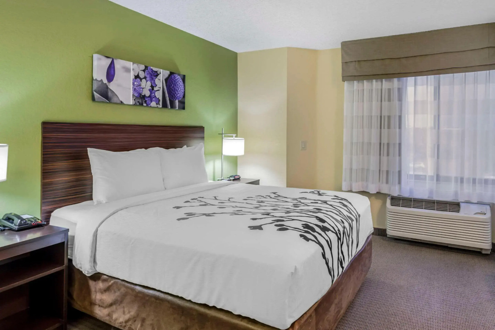 Sleep Inn Denver Tech Center