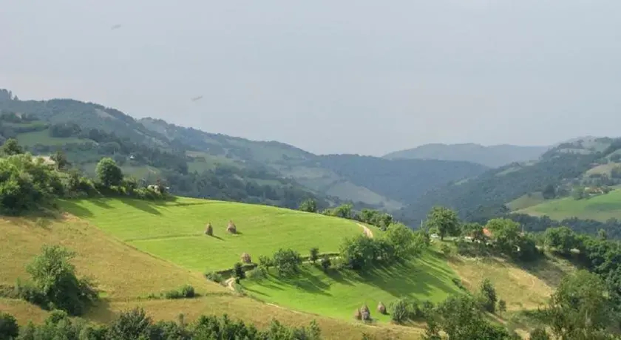 Pasul Caprioarei