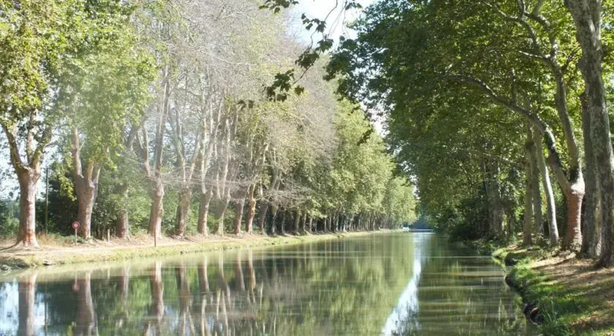 Chambre et Table dHôtes Le Souleilla
