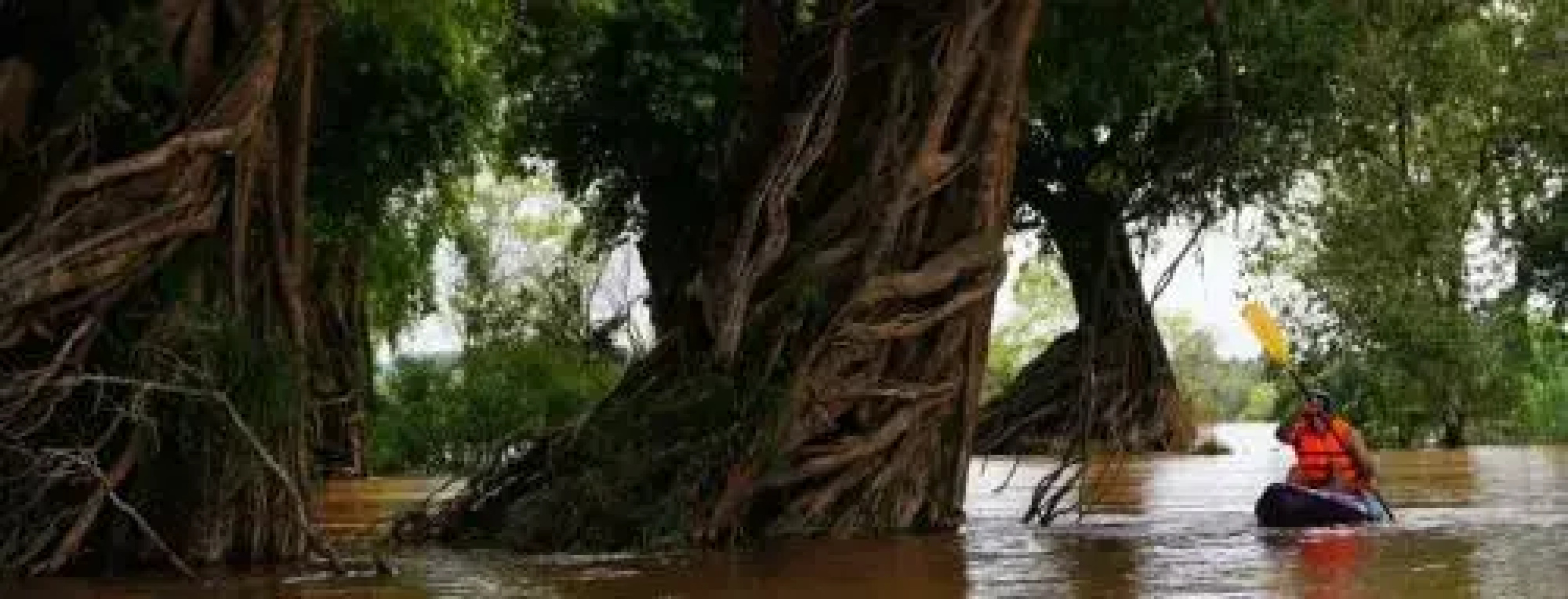 Savet Phom Tmey Guesthouse