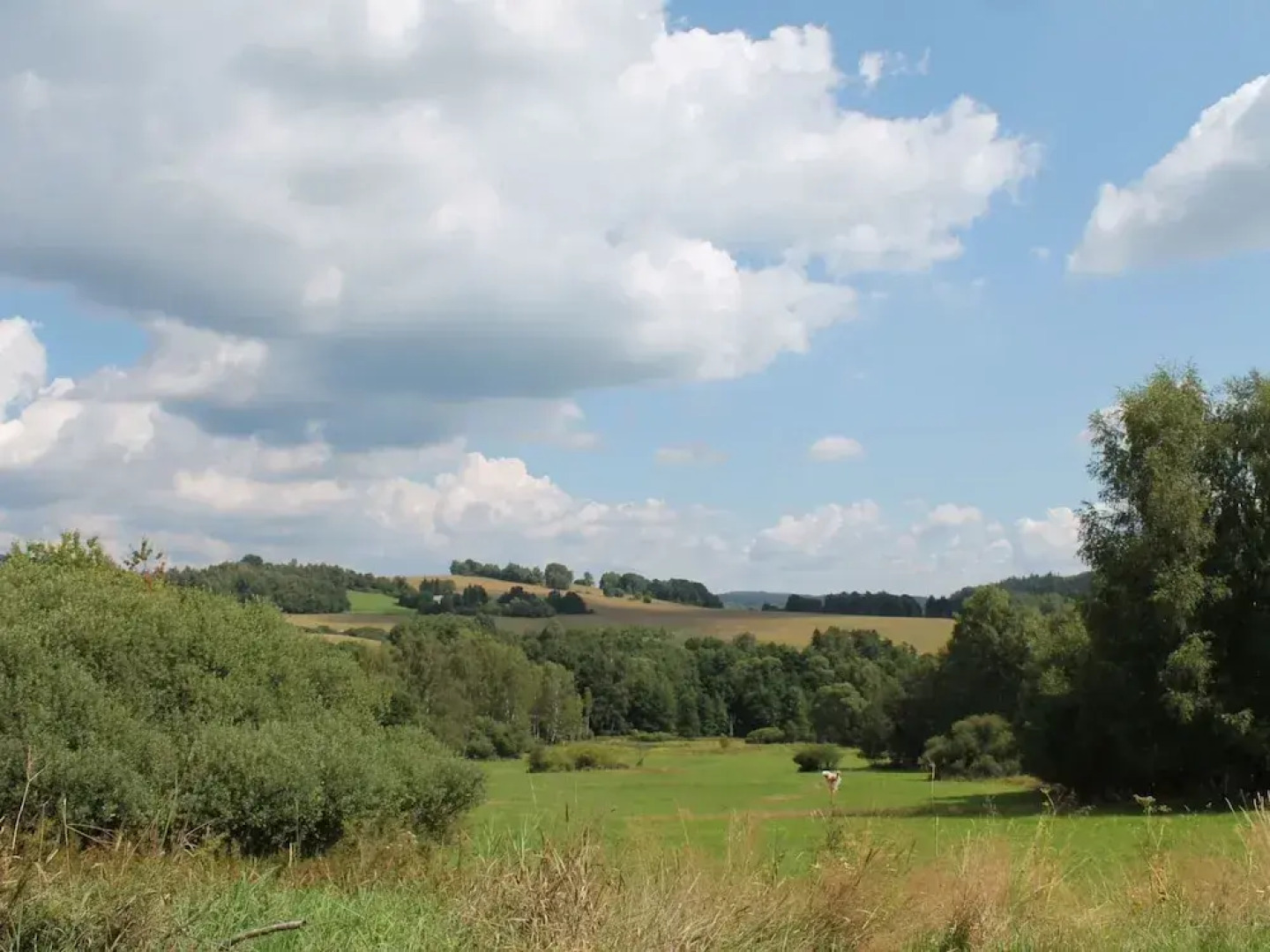 Attractively Renovated Holiday Home Located in the Beautiful Nature of the Czech Republic