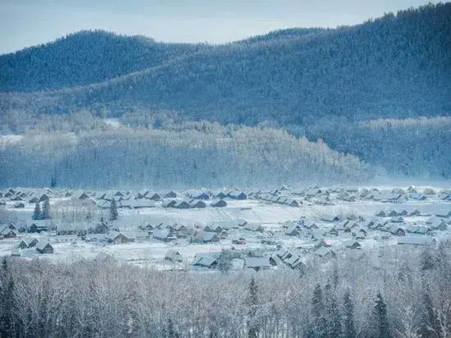 naked Home · Hemu Altay