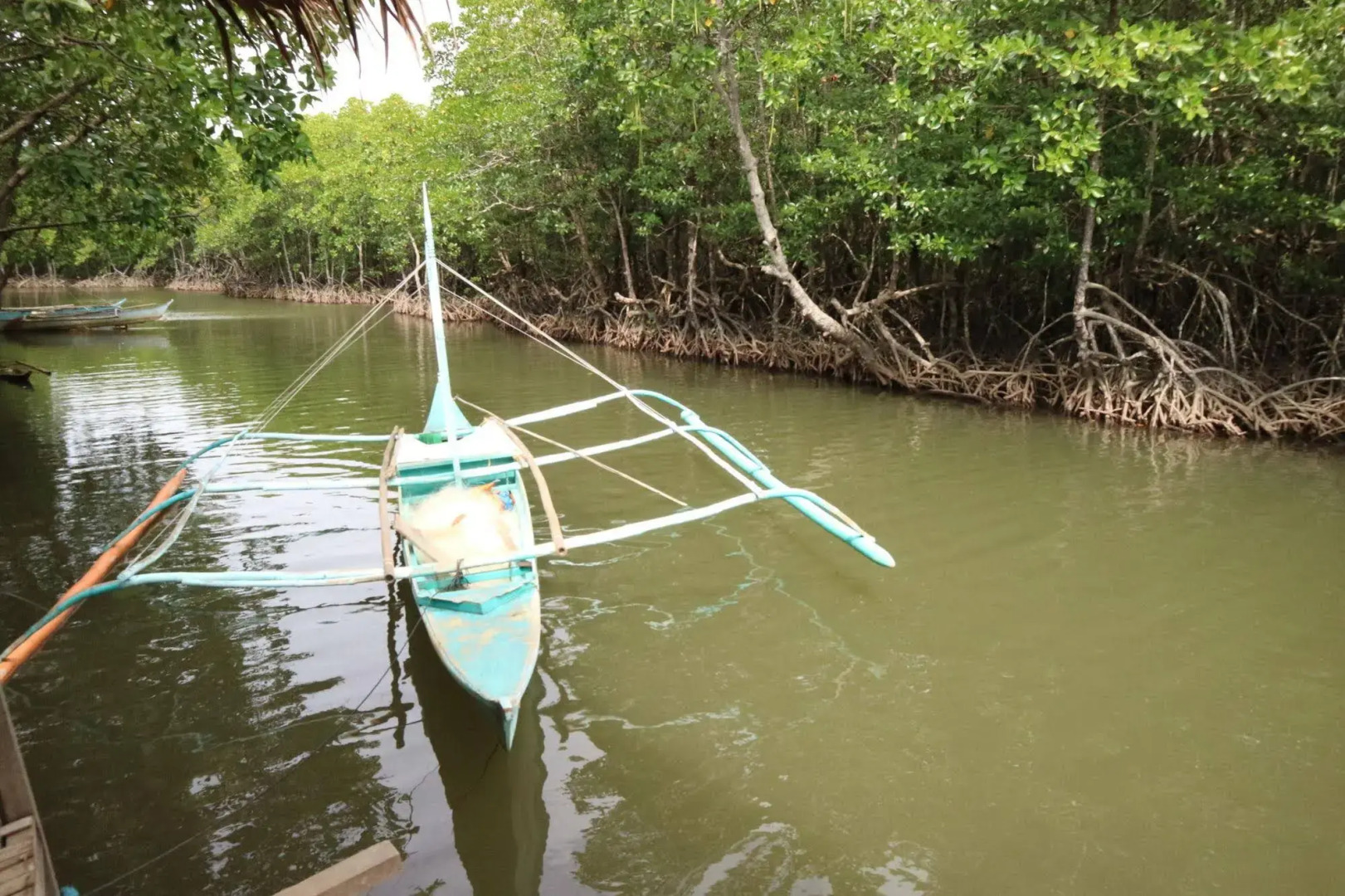 Villa Israel Eco Park El nido Palawan