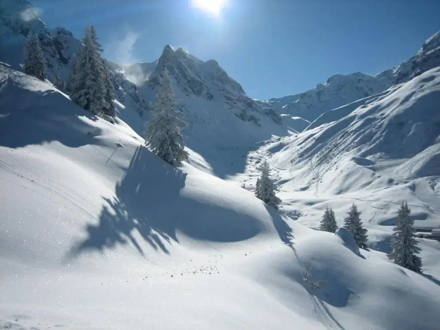 Chalet / Pension Alber