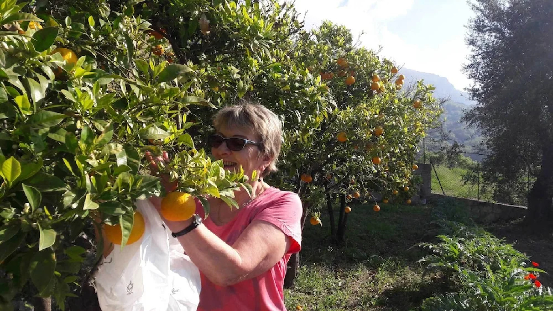 La Maison de Noélie - rez de jardin