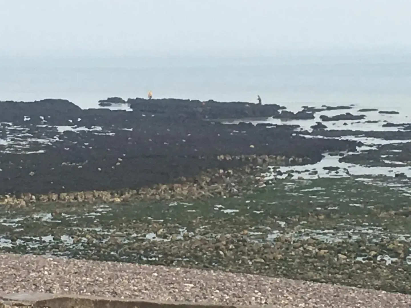 Les Mouettes, a Moins de 50 Metres de la Plage