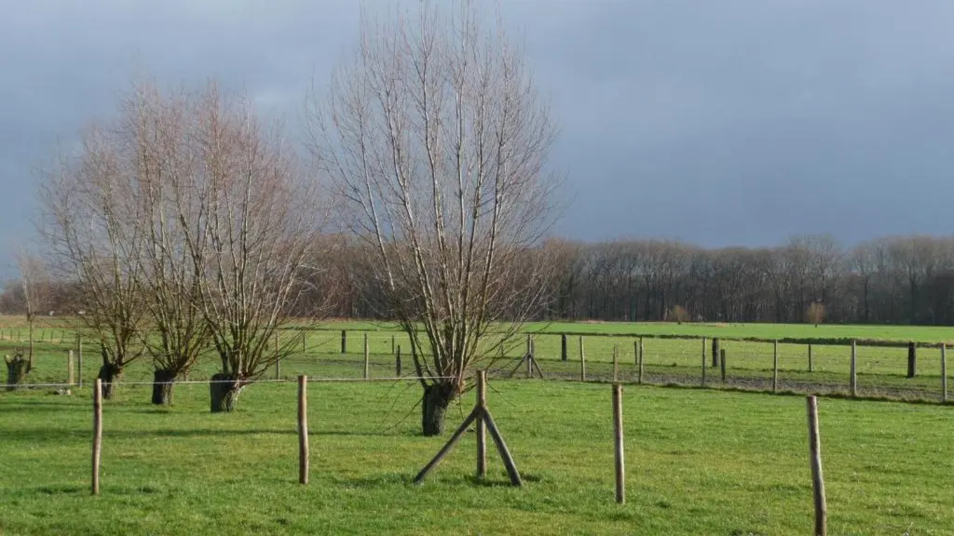 B&B De Vossenbarm