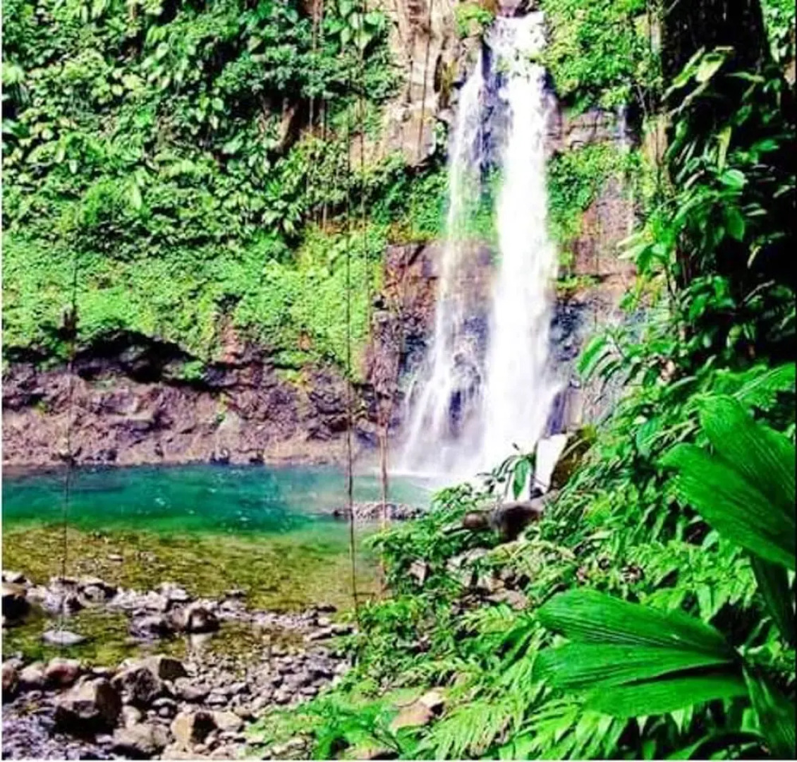 Apartment With one Bedroom in Capesterre Belle Eau, With Wonderful sea