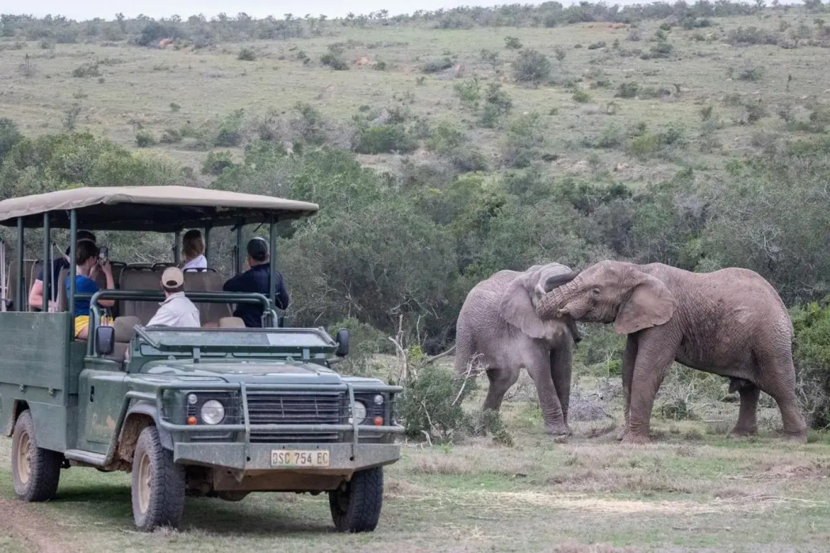 Pumba Private Game Reserve