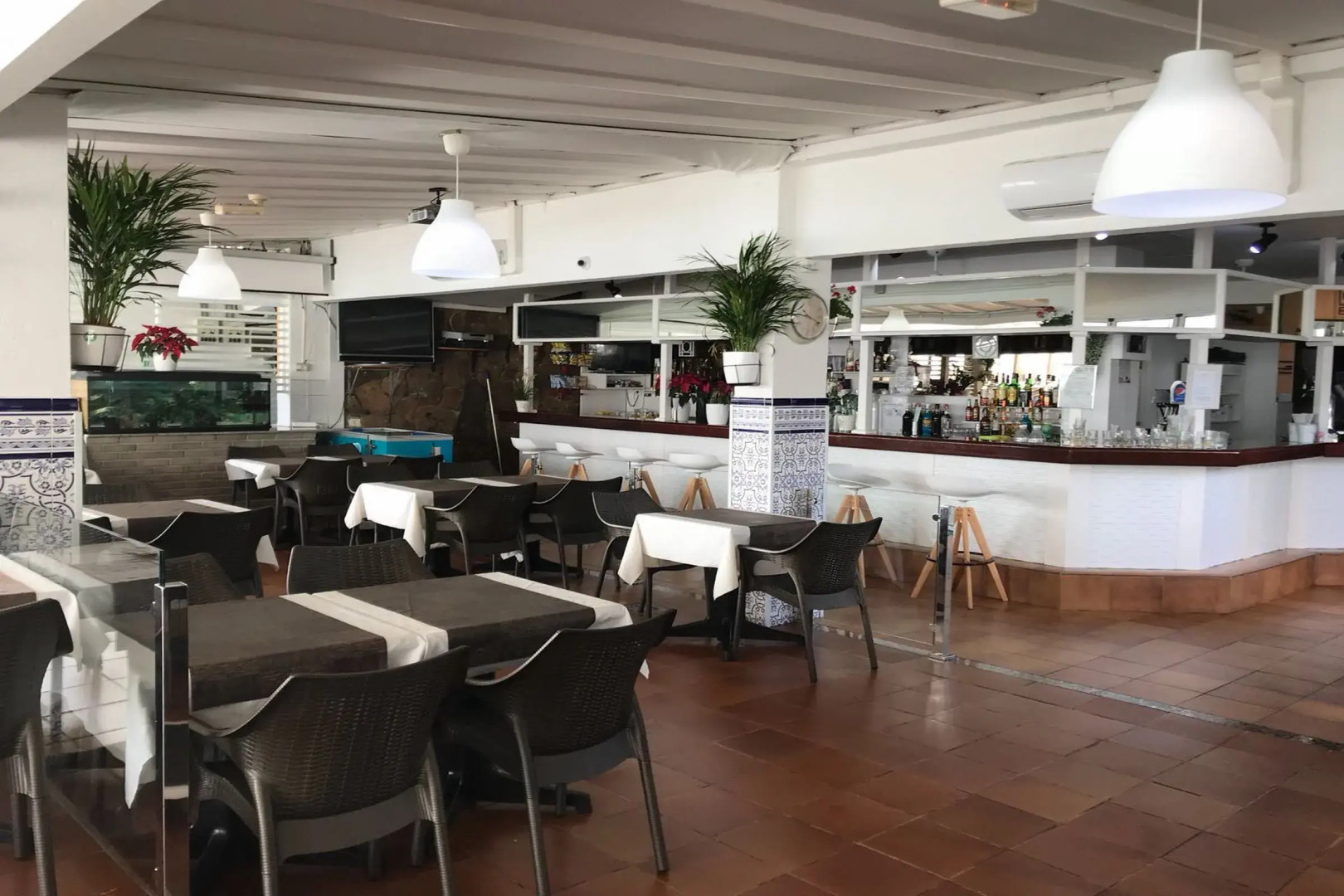 Bungalows Vista Oasis